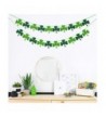 Designer St. Patrick's Day Supplies Outlet