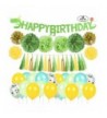 Dinosaur Party Supplies Decorations Birthday