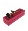 OULII Blooming Lacquered Valentines Anniversary