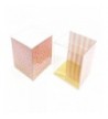 Birthday Supplies Cup Cake Surprise Packaging