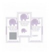 Scratch Cards Shower Elephant Orchid