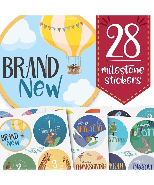 Baby Month Milestone Stickers milestones