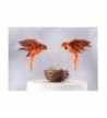 Hummingbird Cake Topper Humming Tangerine