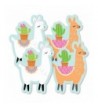 Whole Llama Fun Decorations Essentials