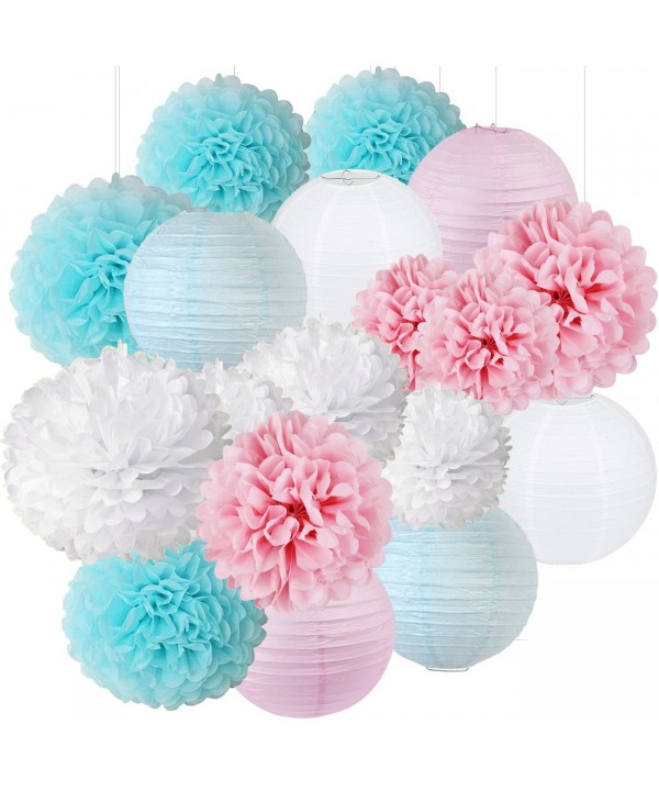 Gender Reveal Supplies Decorations Lanterns