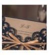 Cheap Bridal Shower Party Invitations