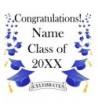 BLUE MORTARBOARD GRAD DOOR BANNER