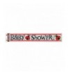 12ft Foil Ladybug Shower Banner