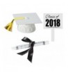 CakeSupplyShop Graduation Decoration Topper Centerpiece