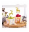 Designer Baby Shower Supplies Outlet