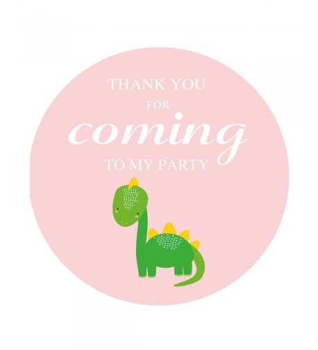 MAGJUCHE Dinosaur Stickers Birthday Decorations