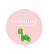 MAGJUCHE Dinosaur Stickers Birthday Decorations