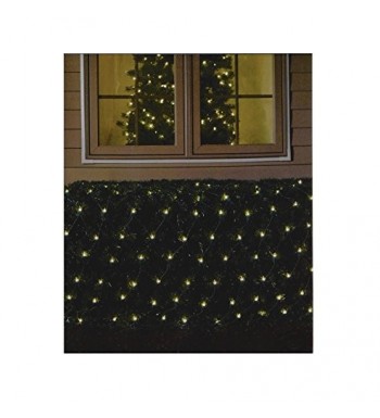 Seasonal Lighting