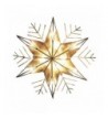 Kurt Adler 10 Light Snowflake Christmas