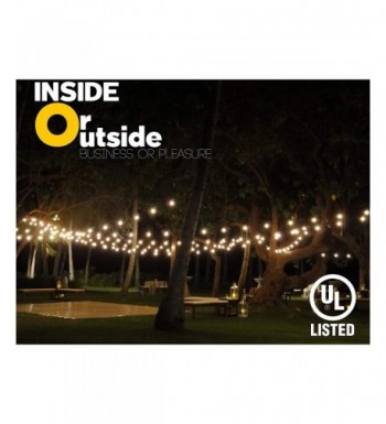 Designer Seasonal Lighting for Sale