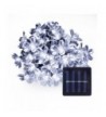 Lightspot Waterproof Blossom Christmas Decorations