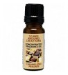 Concentrated Fragrance Oil butter drenched pecans Infused