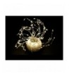 Cheap Real Indoor String Lights On Sale