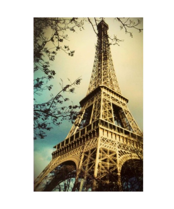 Ooh Themed Eiffel Backdrop Premium Grade