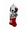 Peanuts 21 Inch Stocking Snowflake Dangles