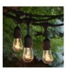 New Trendy Seasonal Lighting Clearance Sale