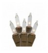 Vickerman W5B1001 Light Clear Mini Lights