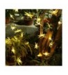 Fashion Outdoor String Lights