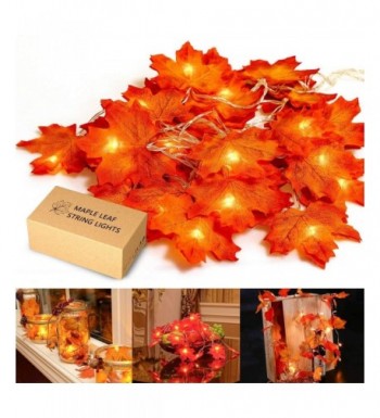 MiMoo Thanksgiving Battery Garlands String