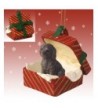 Conversation Concepts Labradoodle Chocolate Ornament