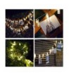 Fashion Seasonal Lighting Wholesale