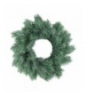 Northlight Frosted Decorative Christmas Wreath