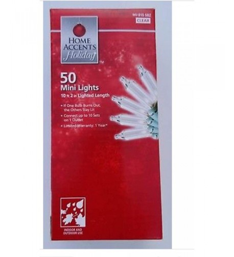 Accents Holiday 50 mini Lights String