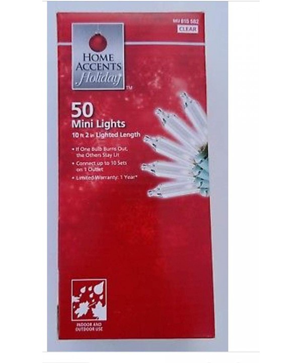 Accents Holiday 50 mini Lights String Accents Holiday 50 mini Lights String