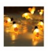 Designer Indoor String Lights Online