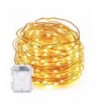 String Lights DecorNova Waterproof Battery