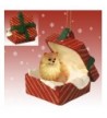 POMERANIAN Gift Christmas Ornament RGBD03A