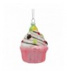 Cupcake Raisins Glass Christmas Ornament