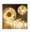 Latest Seasonal Lighting Online