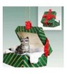 Tabby Christmas Ornament Silver Shorthaired