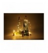 Trendy Seasonal Lighting Wholesale