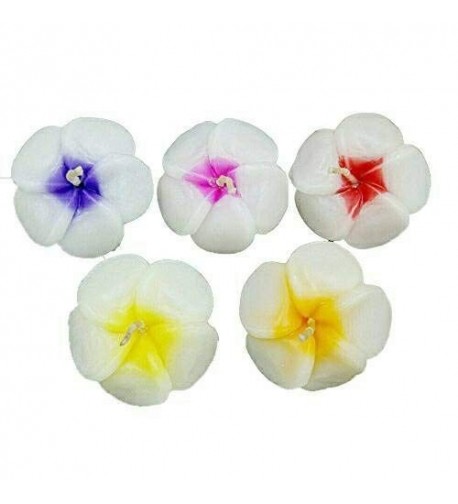 Floating Candles Flower Prices Plumeria