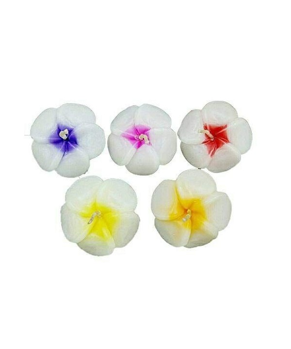 Floating Candles Flower Prices Plumeria