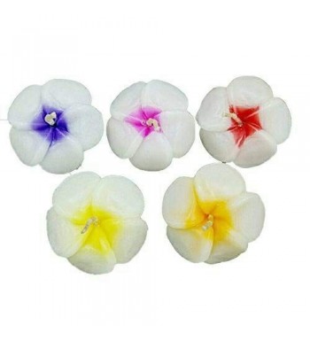 Floating Candles Flower Prices Plumeria