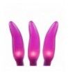 Novelty Lights Chilli Pepper Purple