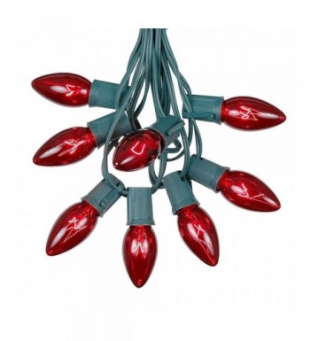 Novelty Lights Twinkle Outdoor Christmas