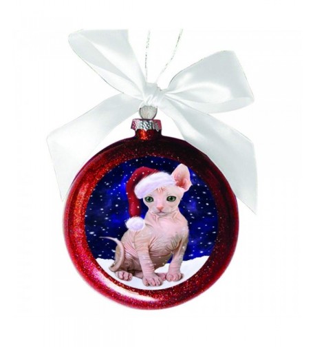 Doggie Day Christmas Ornament RBSOR48737