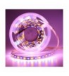 LEDENET Flexible Lighting 360LEDs Non Waterproof