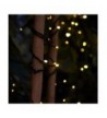 Hot deal Outdoor String Lights