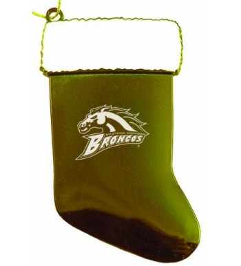 Western Michigan University Chirstmas Stocking