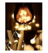 Hot deal Seasonal Lighting Outlet